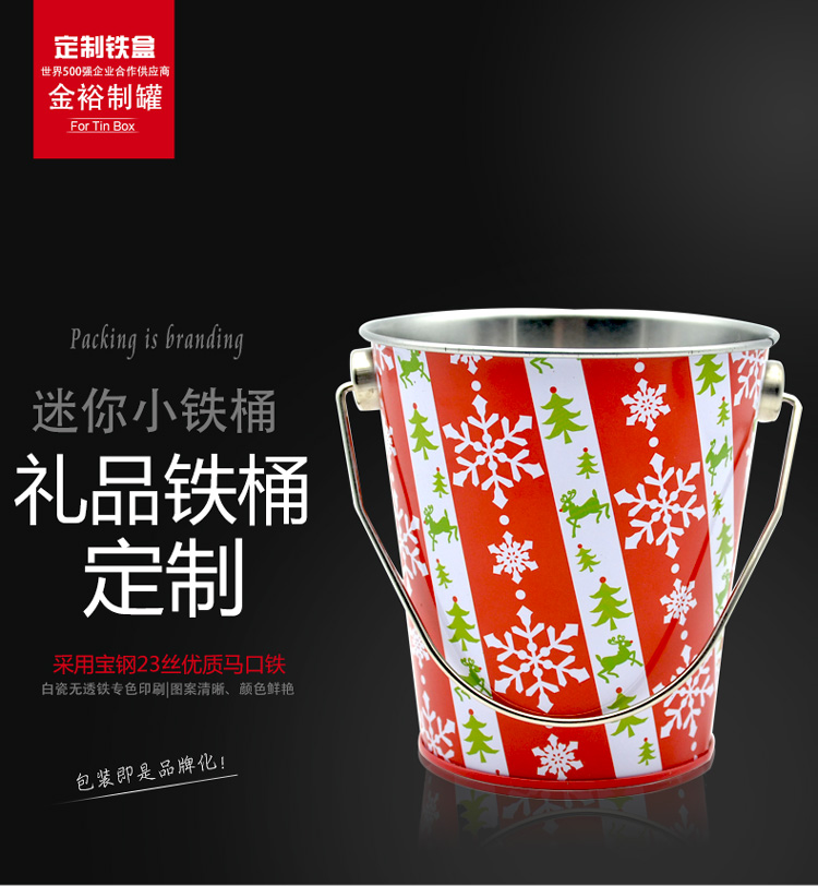 歐式創意簡約迷你小鐵桶-桌面裝飾小型收納小桶_01.jpg